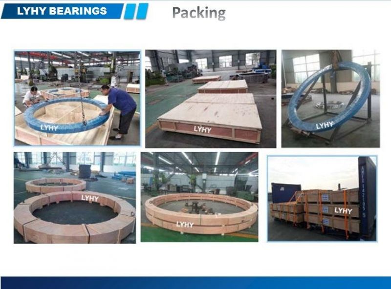 Hyundai Excavator Bearing Hitachi Excavator Swing Bearings Excavator Slewing Ring Bearing Quenched Gear Bearing (360LC-7)