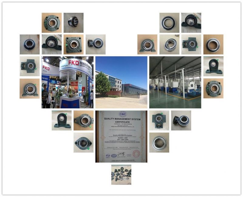 UCP208 Pillow Block Bearing/Ball Bearing/Taper Roller Bearing/Bearing (used in Agriculture and textile machinery)