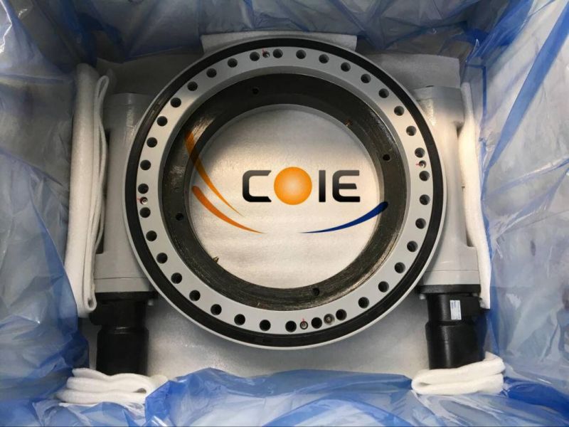 Dual Worm Slewing Drive Turntable Slewing Ring for Mounting Crane