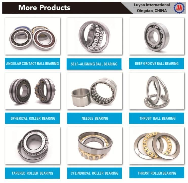 Cylindrical Roller Bearing Rnu209m Nj209ef1 Apply for Large&Medium-Sized Electric Motor, Engine Vehicle, Machine Tool Spindle etc, OEM Service, SGS&ISO9001