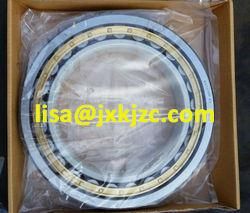 Electrical Insulation Bearing Nu316ecm/C3vl2071 for Traction Motor
