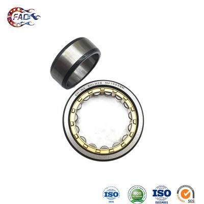 Xinhuo Bearing China Gimbal Bearing ODM Ball Bearing 8X22X7 NF215e Split Cylindrical Roller Bearing