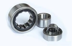 International Standard Cylindrical Roller Bearings