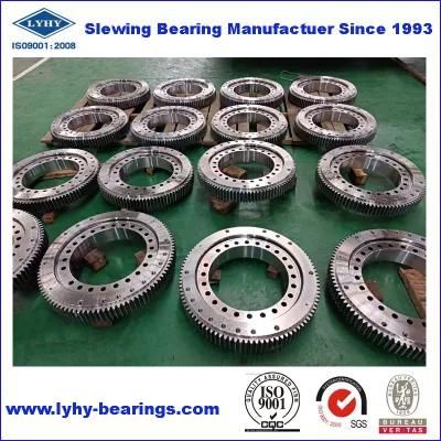 Ball Bearing Slewing Ring Bearing Without Gear Teeth Bearing Turntable Bearing Rotary Bearing (RKS. 25.1204)