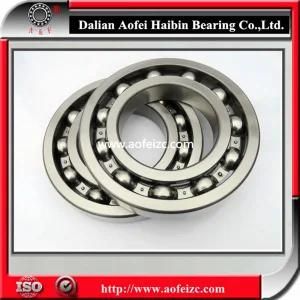 Deep Groove Ball Bearing 6244 / 6244ZZ/ 6244 2RS/ 6244 NR Models with P5, P6, V2, V3