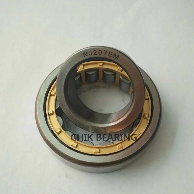 OEM Bearings Cylindrical Roller Bearing Nj407em Nu407em N407em for Sale