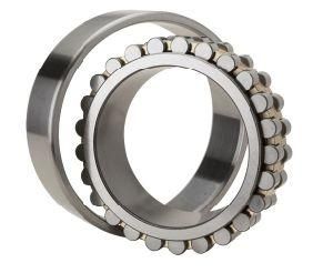 Double Row Cylindrical Roller Bearings Nnu4152m/W33 Nnu4156m/W33 315976b Bc2b320119 Nnup4964b/Hb1w33 Bc2b322216 315583c Nnu4164f