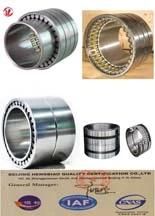 Cylindrical Roller Bearing Fcd Type