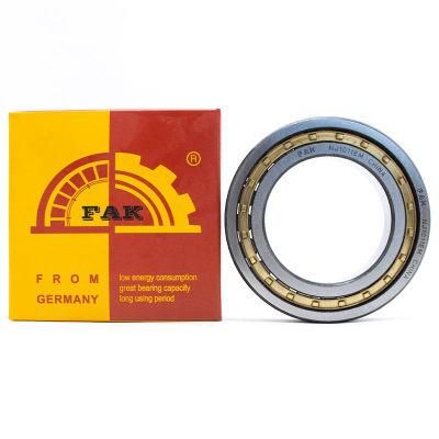 Fak NSK/ NTN/Timken/ Brand High Standard Own Factory Motorcycle Spare Part Cylindrical Roller Bearing Nn Series