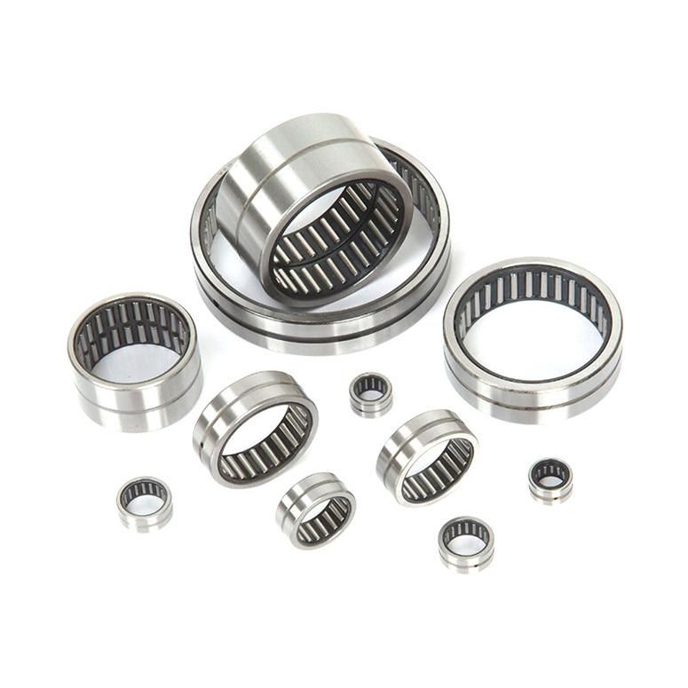 NSK One Way Needle Roller Bearing with N Series