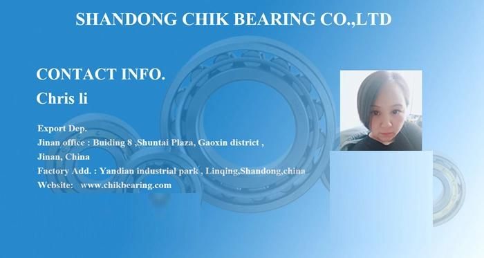 SKF NTN NSK NMB Koyo NACHI Timken Spherical Roller Bearing/Tapered Roller Bearing/Angular Contact Ball Bearing/Deep Groove Ball Bearing