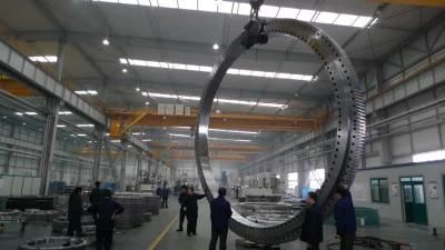 Zys Cross Roller Bearing Crane Slewing Bearing 110.25.710 for Port Machinery