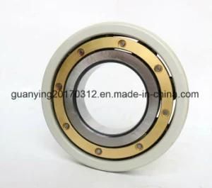 High Quality Insulated Bearing Insocoat Bearings 6218/C3vl0241