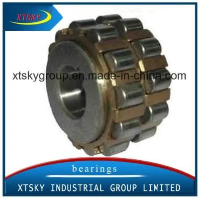 Eccentric Bearing 612 7187 Ysx Double Row Cylindrical Roller Bearing 6127187