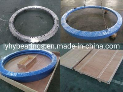 (RKS. 060.25.1204) Slewing Ring Bearing (RKS. 060.25.1314) Turntable Bearing Ball Slewing Bearing (RKS. 060.25.1424)