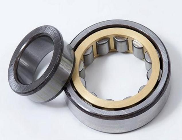 Cylindrical Roller Bearing Nup2208 Cement Mixer Rexroth Pump Bearings
