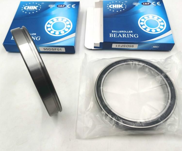 Chik Brand 95dsf01 Dducm 95dsf01 2RS Deep Groove Ball Bearing Gcr10 Bearing Steel P6 Grade 95*120*17mm