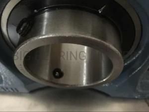 High Quality Insert Bearing UCP207 Pillow Block Bearing