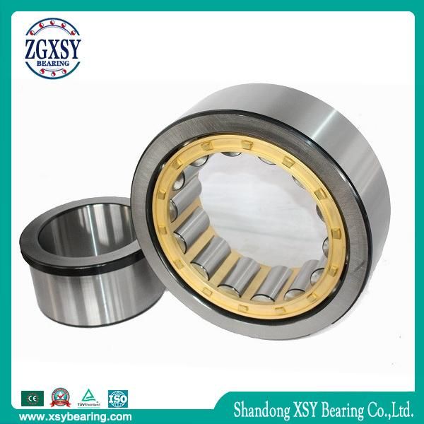 NSK Cylindrical Roller Bearing Nj2211 Nu2211 Nup2211