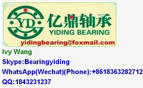 Brass Cage Spherical Roller Bearing 22313cc/W33 22313ca/W33 Bearing Made in Sweden