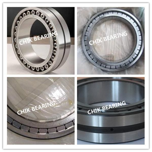 Chik/NSK/SKF/NTN/Koyo/ /Timken Brand N2205~N2230 Model Cylindrical Roller Bearings for Sale