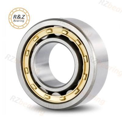 Bearings Auto Parts Bearings Cylindrical Roller Bearing Nu1013 with High Precision