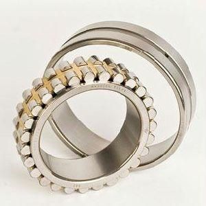 Double Row Cylindrical Roller Bearing Nn3016k/W33