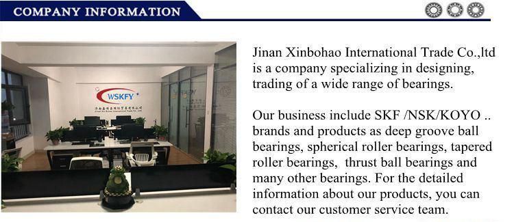 Original Brand IKO China Manufacturer Spherical Plain Bearing Joint Bearing for Machinery Parts