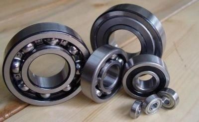 Double Rows Chrome Steel Bearing (6201 2RS, 6202 2RS, 6002 ZZ) Deep Groove Ball Bearing