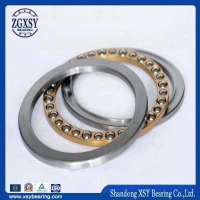 Large Diameter Thrust Ball Bearing