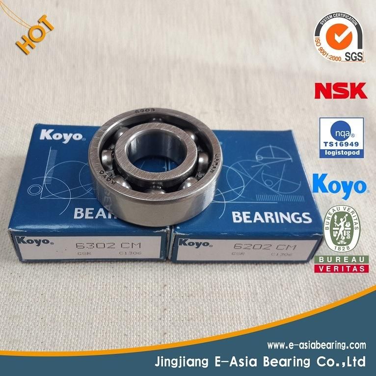 Double Row Cylindrical Roller Bearing Nu1005