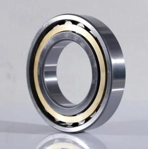 Cylindrical Roller Bearing (N209EM)