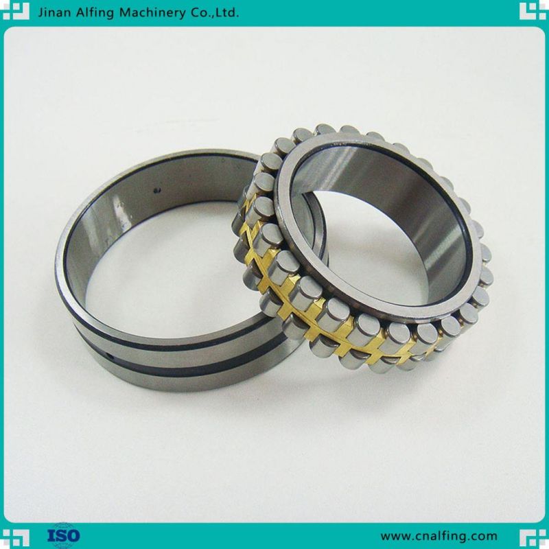 Nu Nj Nup N NF Cylindrical Roller Bearing Rolling Bearing