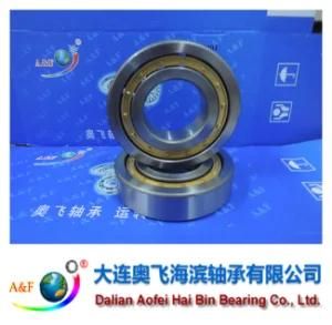 A&F Bearing/ Cylindrical Roller Bearing NJ309M
