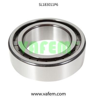 Cylindrical Roller Bearing Nj2212e/Roller Bearing/Auto Parts/Quality Certified