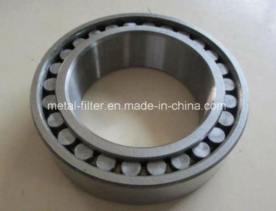 Big China Producer SL024860 SL014860 Double Row Cylindrical Roller Bearing for Reduction Gears