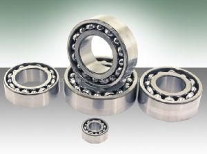 Open Type Deep Groove Ball Bearing (6206)