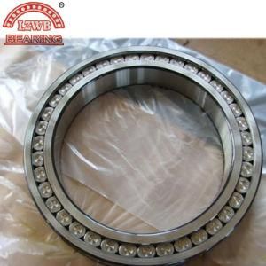ISO Certified High Quality Cylindrical Roller Bearing N204e