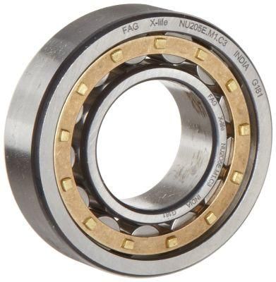 Chik NSK NACHI Motive Cylindrical Roller Bearings N203ecp/N214ecp/N224ecm/N312ecp/N317ecp/N204ecp/N215ecp/N224ecp/N313ecm/N318ecm