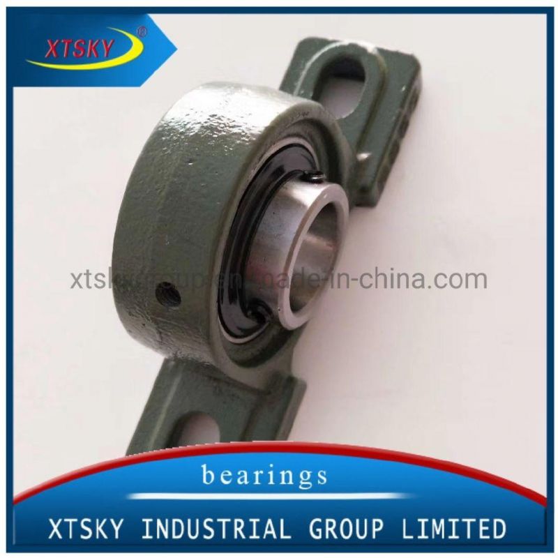 Xtsky Pillow Block Bearing (UCFC-211)