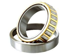 SKF Cylindrical Roller Bearing