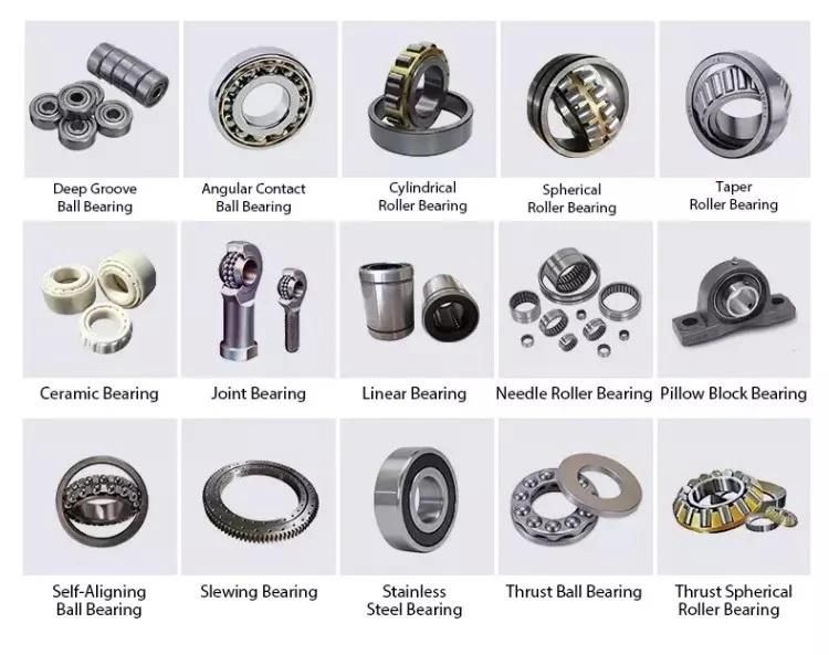 NTN NSK Bearing Sr242207 SA0330 Excavator Bearing