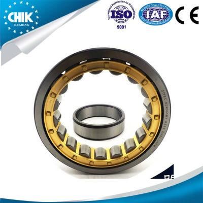 Single Row Cylindrical Roller Bearing Nu1009 with Competitive Price