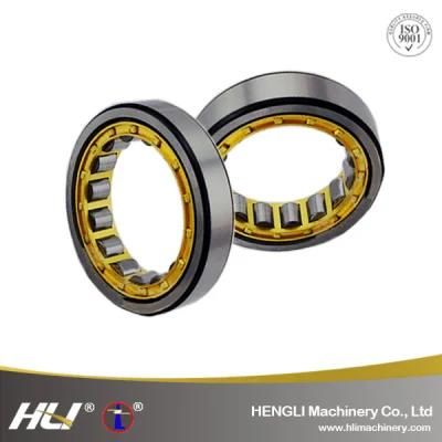 N/NU/NJ224EM Cylindrical Roller Bearing with Polyamide/Brass/Steel/Nylon/Bronze Cage for Rotary Excavating