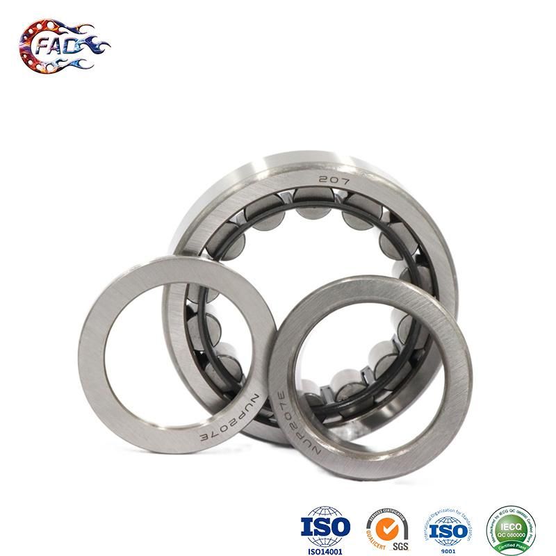 Xinhuo Bearing China Hydrodynamic Bearing OEM 606 2RS Bearing Nu305 Radial Cylindrical Roller Bearings