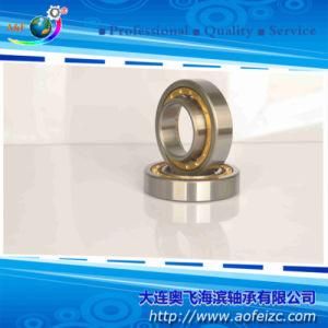 Roller Bearings Cylindrical Roller Bearing NU216M with Low Price