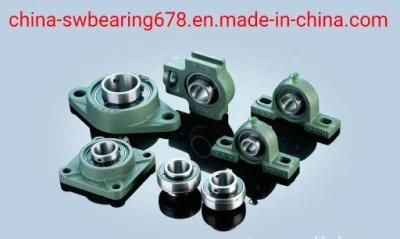 Pillow Blocks UCP205 Bearing with Housing of High Capacity Auto Bearing with Competitive Price