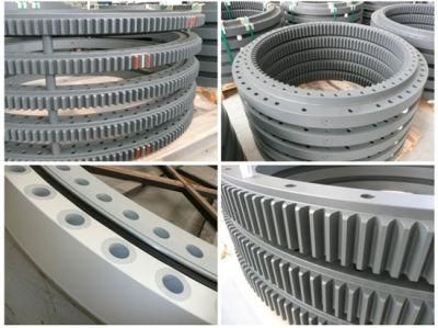 Professional Manufacturer in Sirca Slewing Bearings (2CE. 050.00) External Gear Swing Ring Bearing
