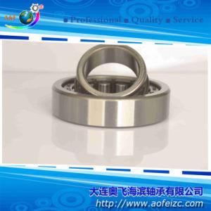 NJ314E Cylindrical Roller Bearings Used for Locomotives