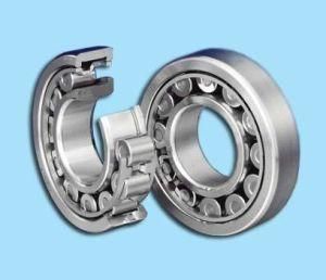 Factory Direct Sale in China Cylindrical Roller Bearings218